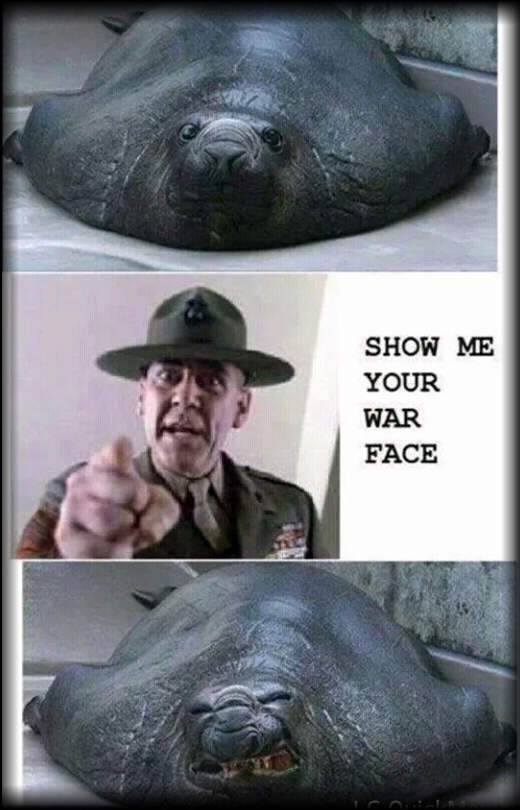 What does your war face look like? - meme