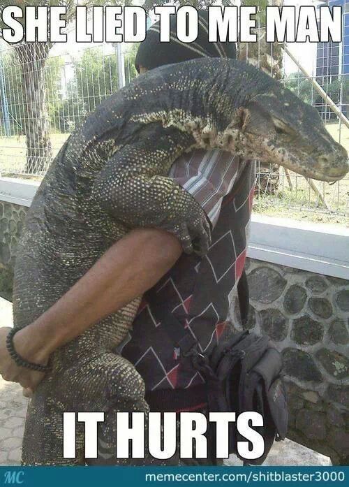 poor lizard - meme