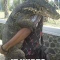 poor lizard