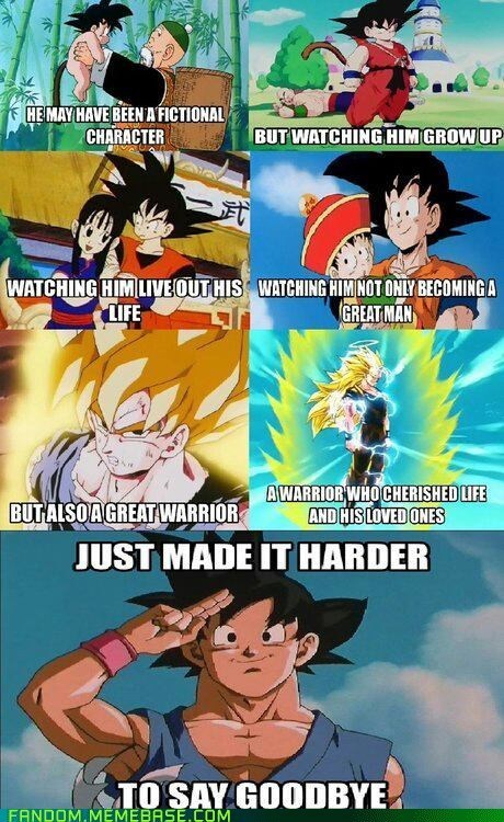dedicated to Goku - meme