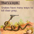 Damn snakes