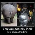 Yes you do look like hippo....