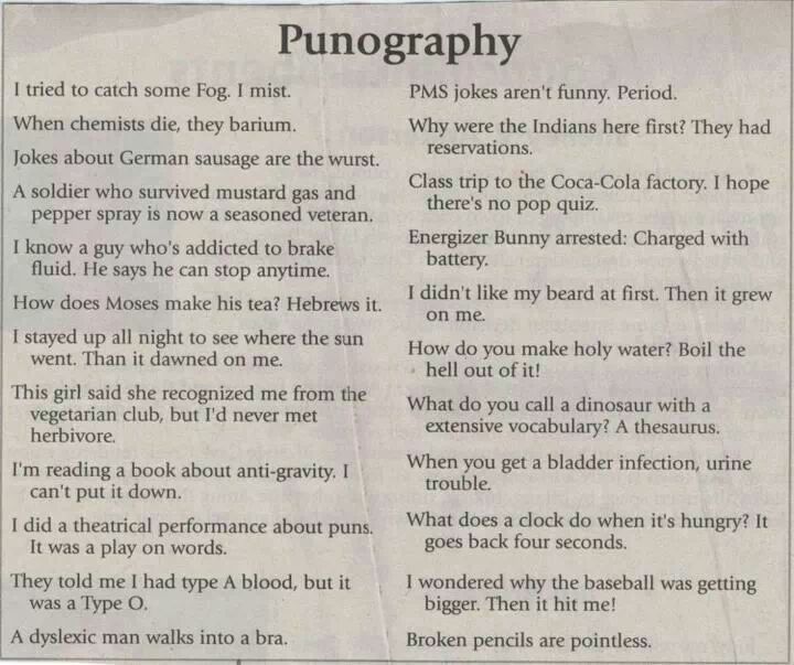 to all you pun lovers - meme