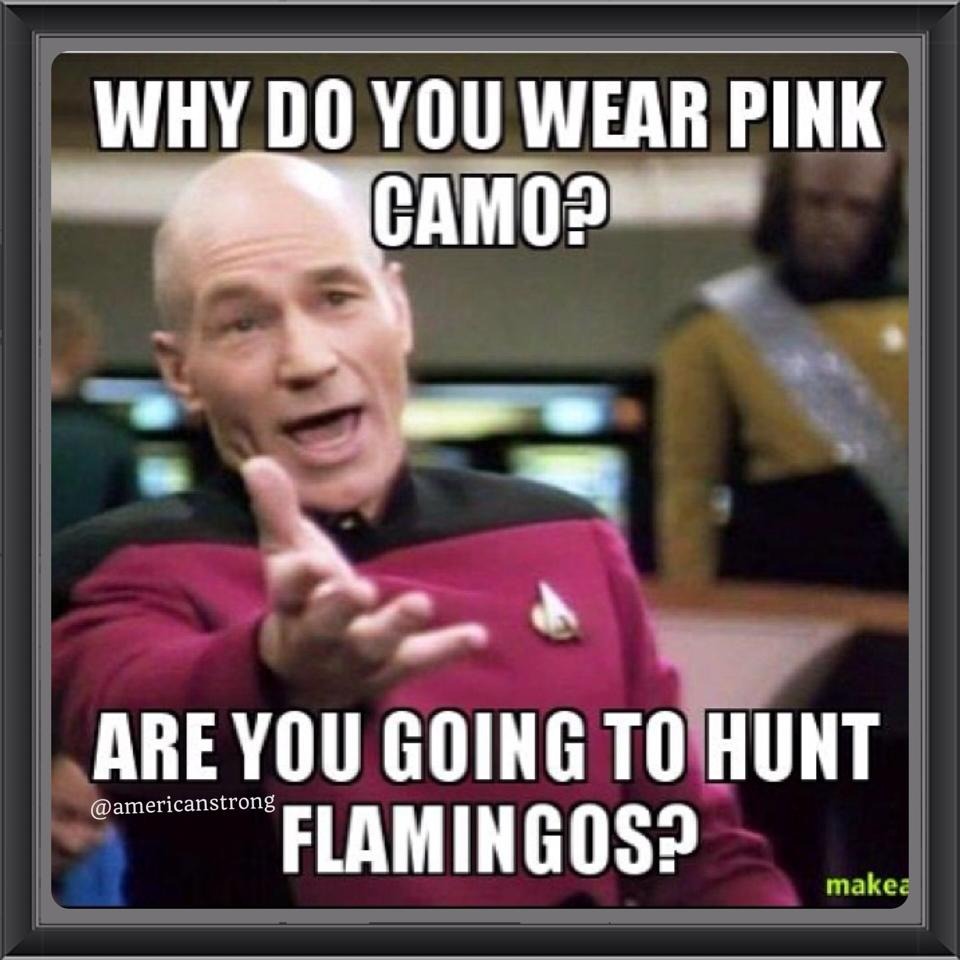 The elusive flamingo - meme