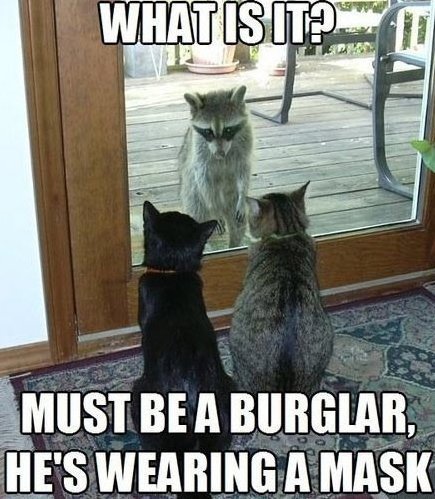 Mmm... a burglar - meme