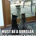 Mmm... a burglar