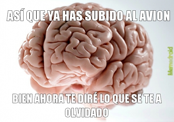 cerebro - meme