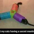 Secret meeting