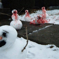 Hommes de neige zombies