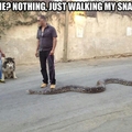 I hate snakes