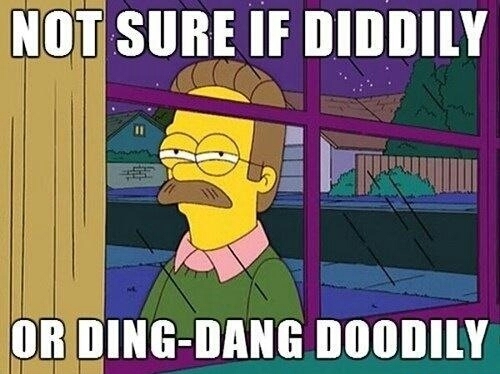 Ned Flanders - meme