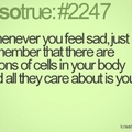 cells....