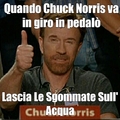the invicible Chuck Norris pt. 2