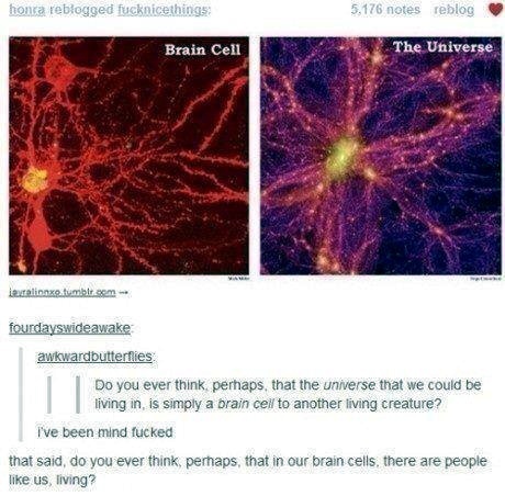 Brains - meme
