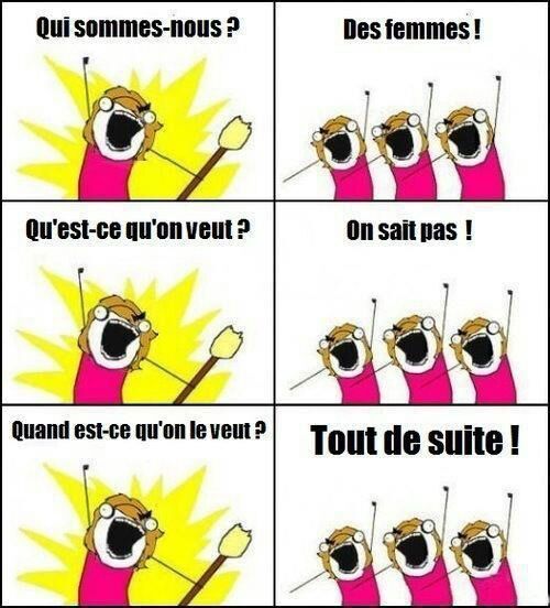 nous les femmes - meme