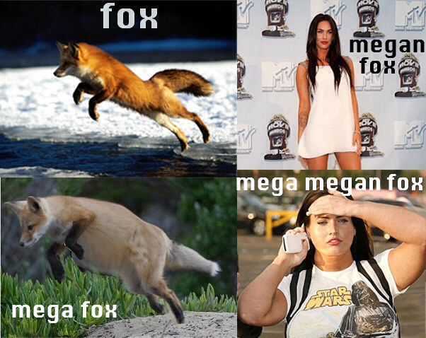 Fox - meme
