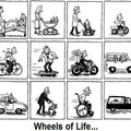 Wheels of life man