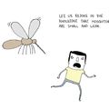 misquitos