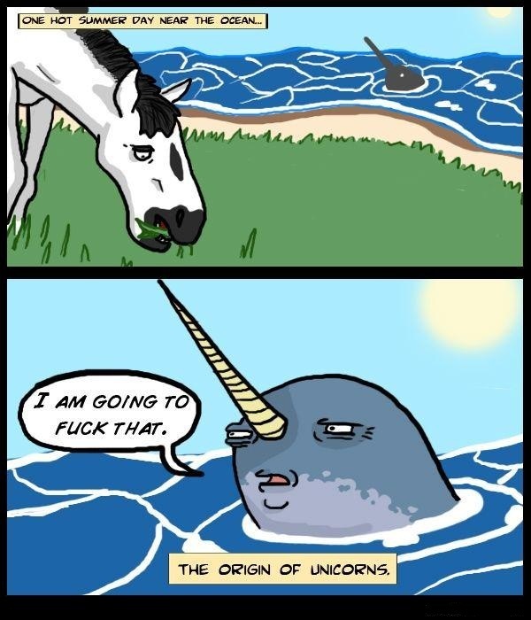 Narwhals, narwhals, swimming in the ocean, causing a commotion! - meme