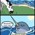 Narwhals, narwhals, swimming in the ocean, causing a commotion!