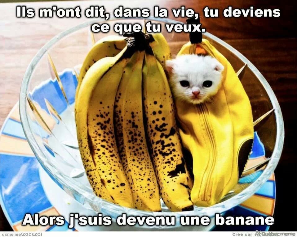 une banane - meme