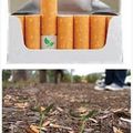 Cigarrillos con semillas de plantas