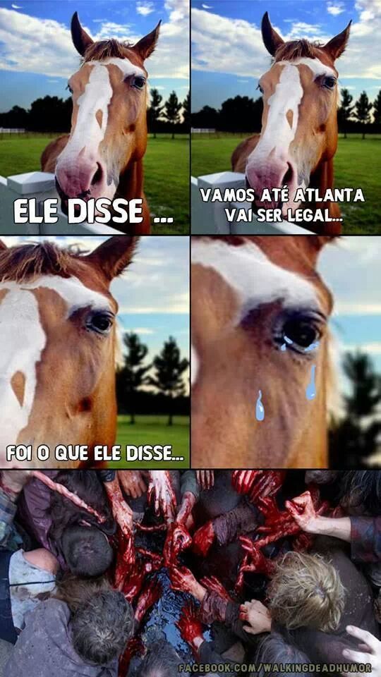 coitado do cavalo ! maldito rick ... - meme