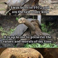 Dat tortoise face