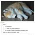 toasted marshmallow huskies, not for smores
