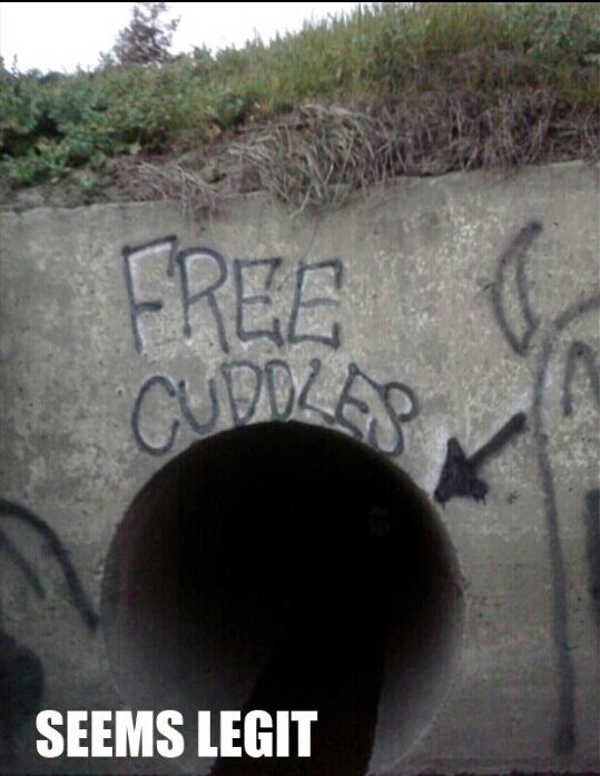free cuddles - meme