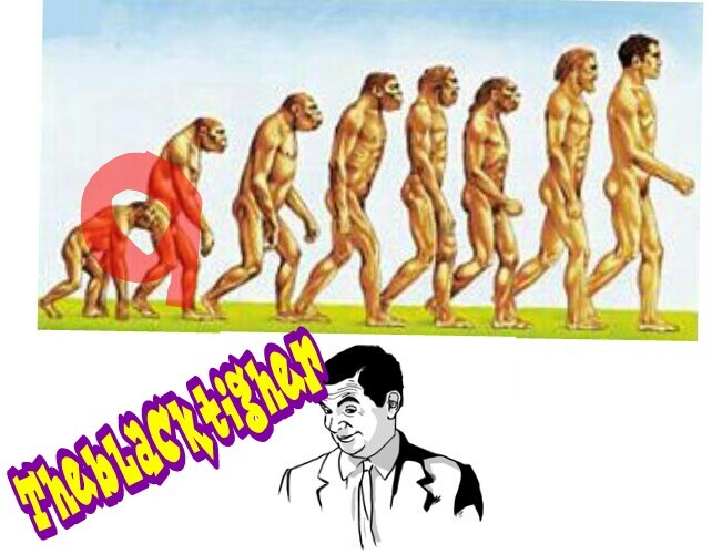 Evoluzione - meme