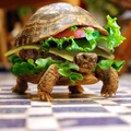 hamburger turtle