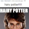 Hairy Potter!