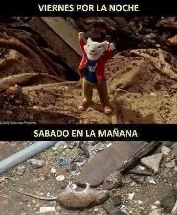 estupido lunes - meme