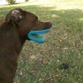 Frisbee mouth !!!