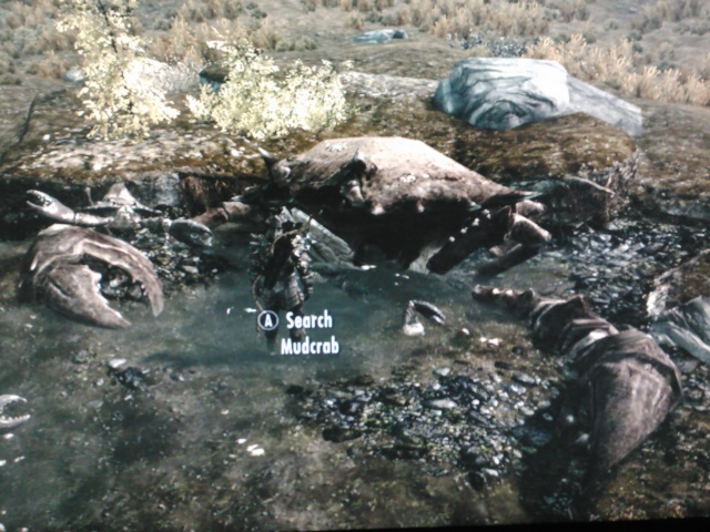 so I was walking in skyrim the other day.... - meme