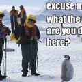good point penguin