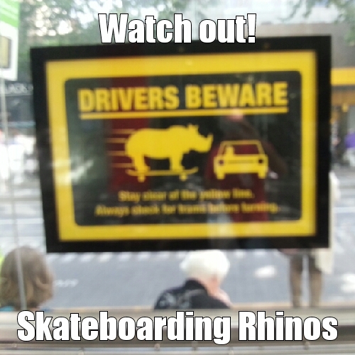 rhinos on the loose - meme