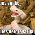 Happy Snake!