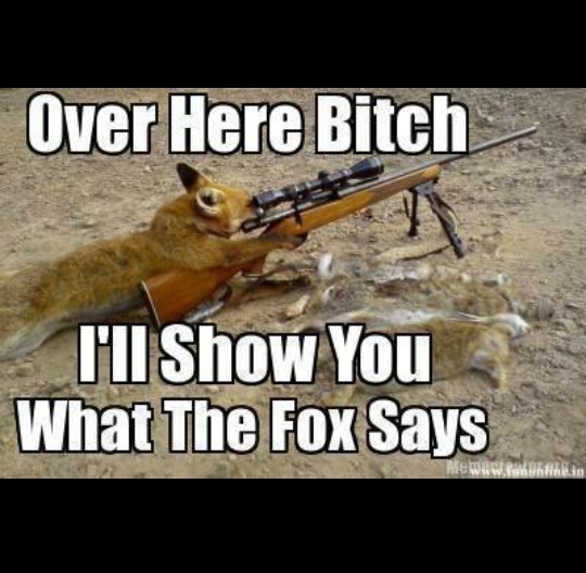And the fox says? - meme