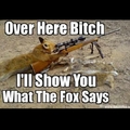 And the fox says?