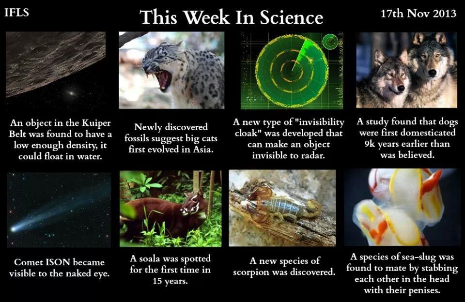 Science! - meme