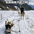 flat leg in alaska