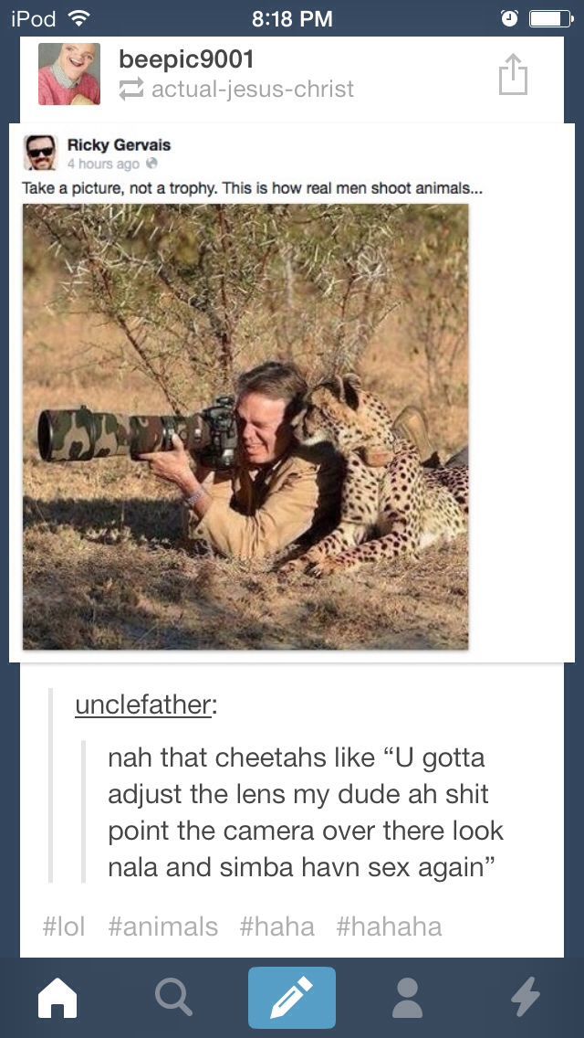Dat Cheetah - meme