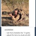 Dat Cheetah