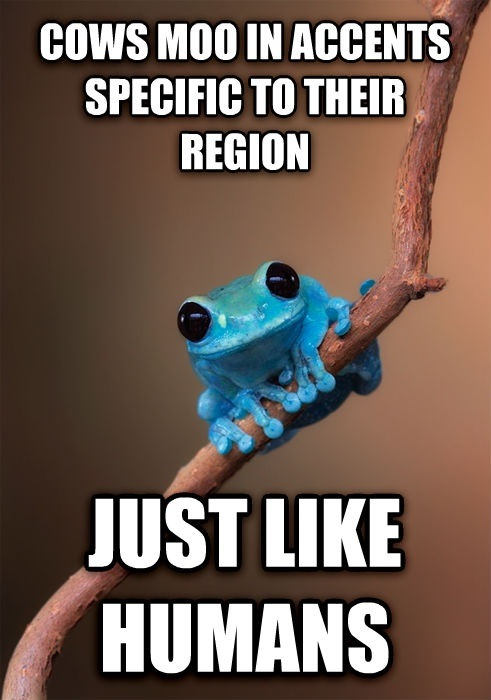 Small Fact Frog.......... Le Moo - meme