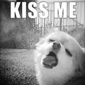 kiss me :3