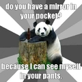 pick up panda