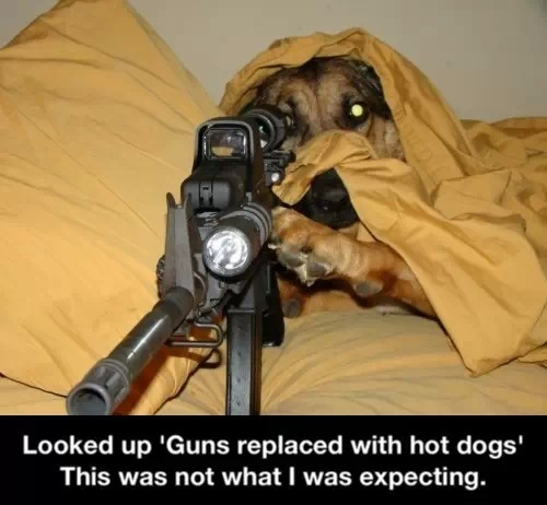 Guns replaced with hotdogs? NOPE.  - meme
