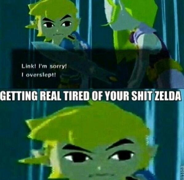 Seriously Zelda? - meme